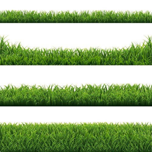 Set borders with grass and flowers Royalty Free Vector Image