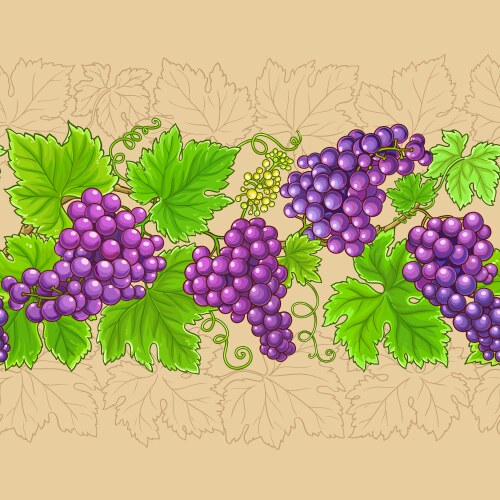 Grapes horizontal pattern on color background vector image