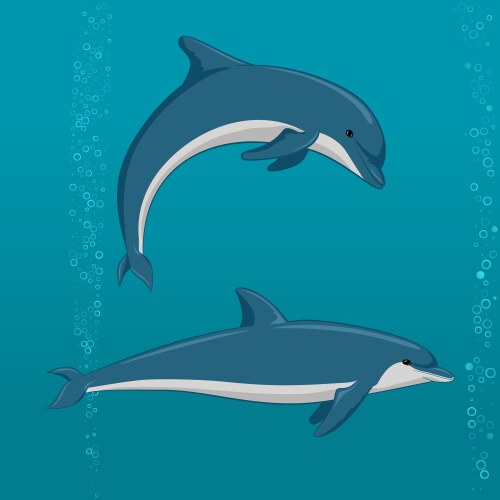 Cartoon dolphins in different poses vector image