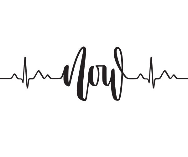 Heart rate black and white Royalty Free Vector Image