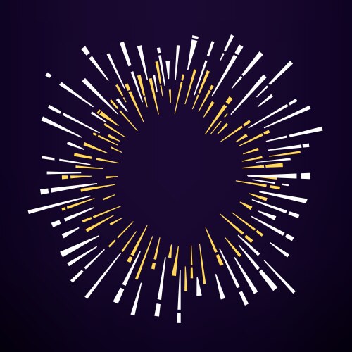 Abstract firework on dark background vector image