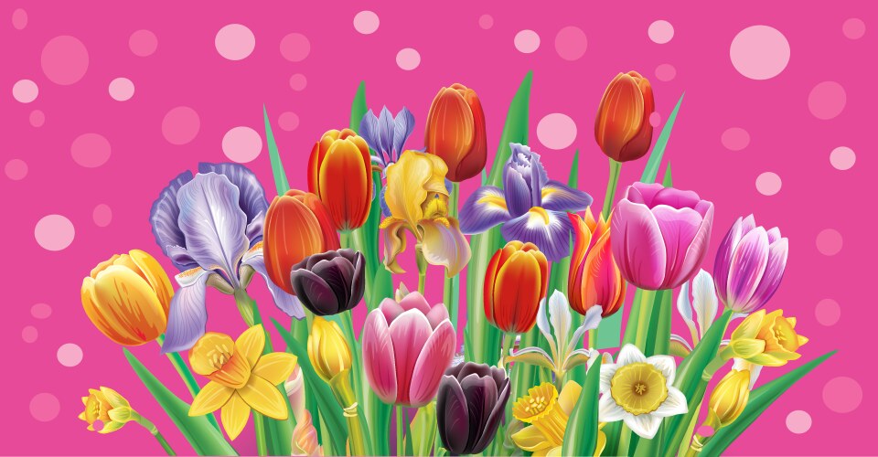 Banner with multicolor spring flowers Royalty Free Vector