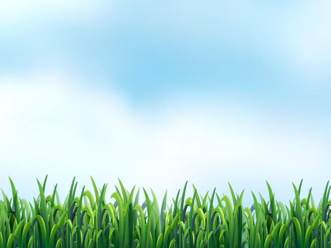 Green grass and blue sky Royalty Free Vector Image