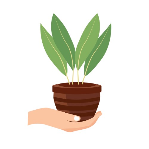 Hand holding plant pot carrying flower Royalty Free Vector