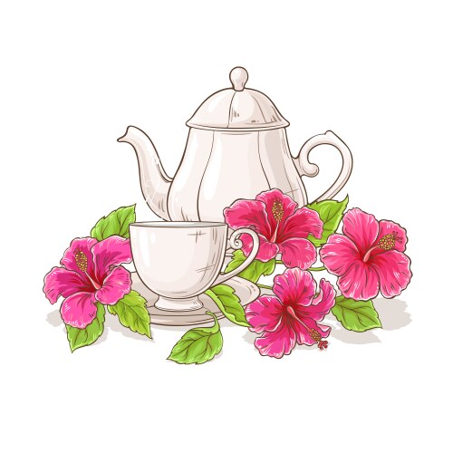 Hibiscus tea vector image