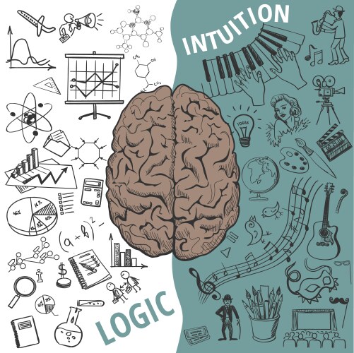 Brain left and right Royalty Free Vector Image