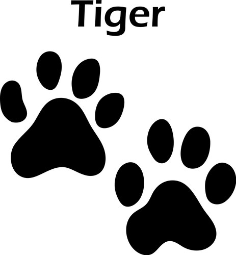 tiger footprint vector image