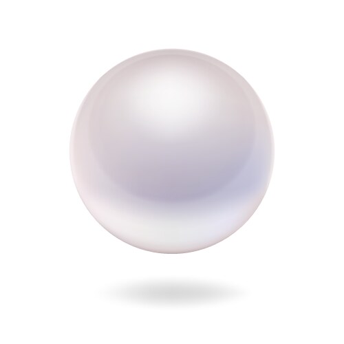 Pearl Royalty Free Vector Image - VectorStock