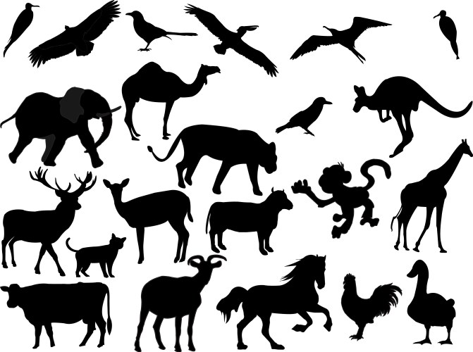 Diverse Animal Silhouettes Vector Image