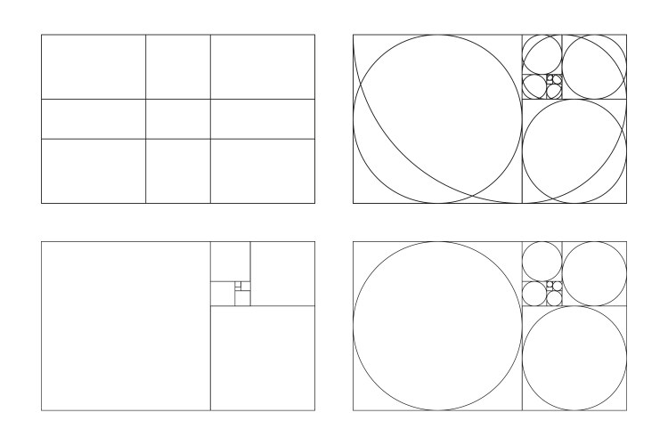 Golden ratio fibonacci array numbers vector image