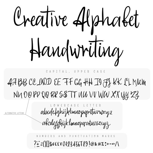 Retro Calligraphy Script Font vector image