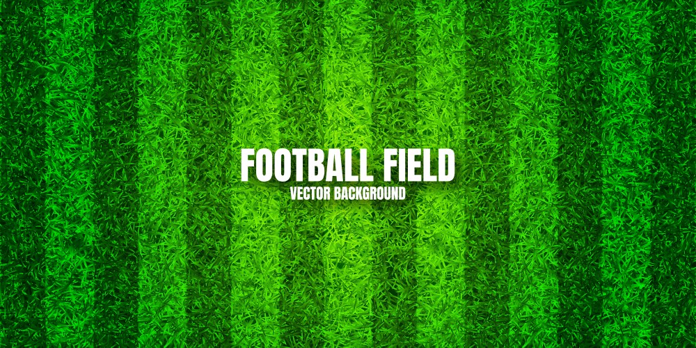 soccer playing field with green grass football vector