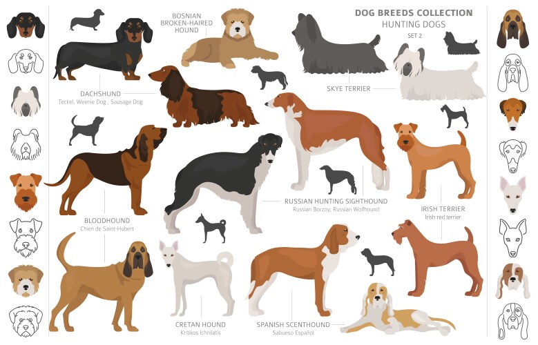 Diverse Hunting Dog Collection Vector Image