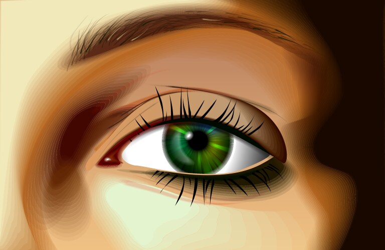 eye vector image