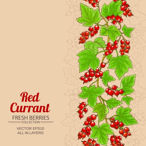 red currant branches pattern on color background vector image