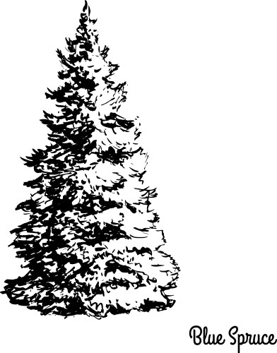 Alpine landscape sketch mountain cabin pine tree Vector Image