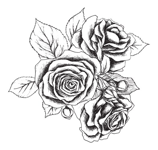 Elegant Black and White Rose Bouquet Vector Image