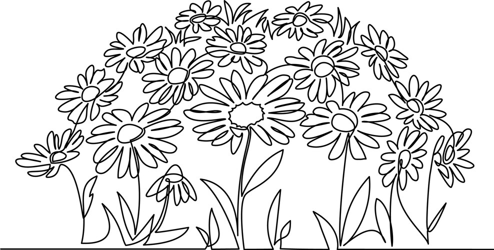 daisy flowers field continuous one line art vector image