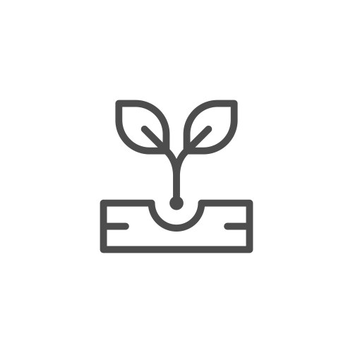 Sprout sketch icon Royalty Free Vector Image - VectorStock