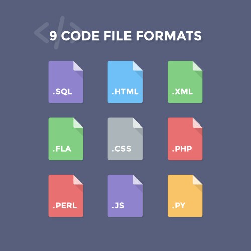 Code file formats vector image