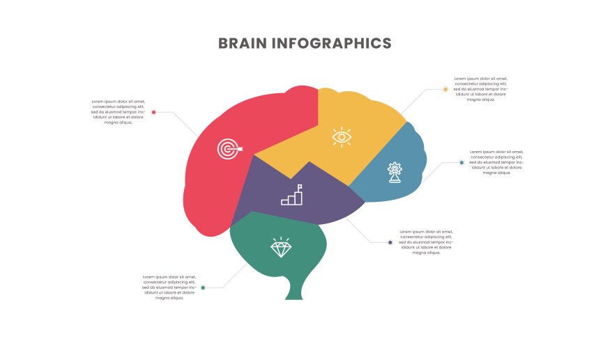 Human Brain Diagram Vector Images (over 4,400)