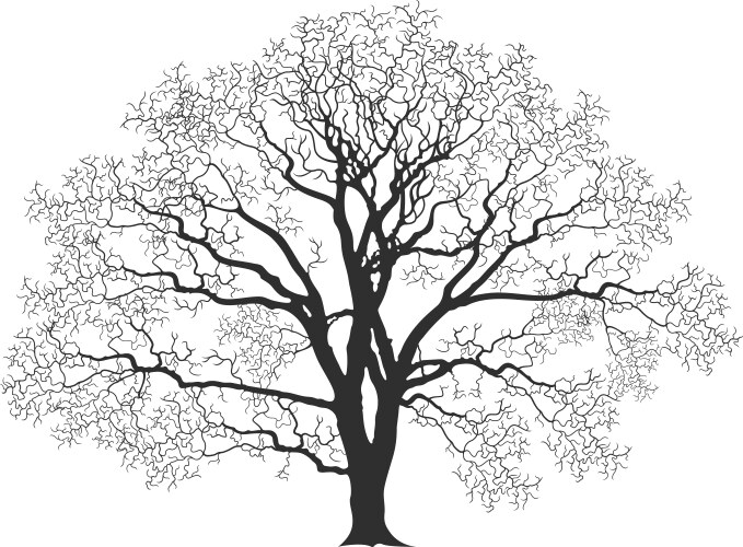 Old oak tree hand drawn engraved style Royalty Free Vector