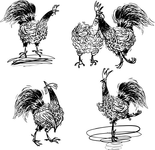 Black and White Rooster Collection Vector Image