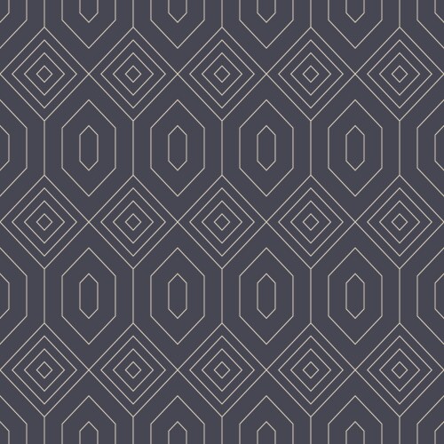 Ethnic arab lattice linear seamless pattern grey vector image