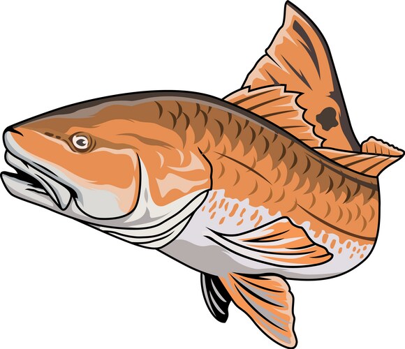 Red fishing lure vintage template Royalty Free Vector Image