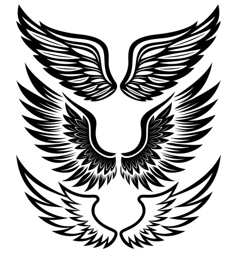 Set of three pairs stylized black angel wings Vector Image