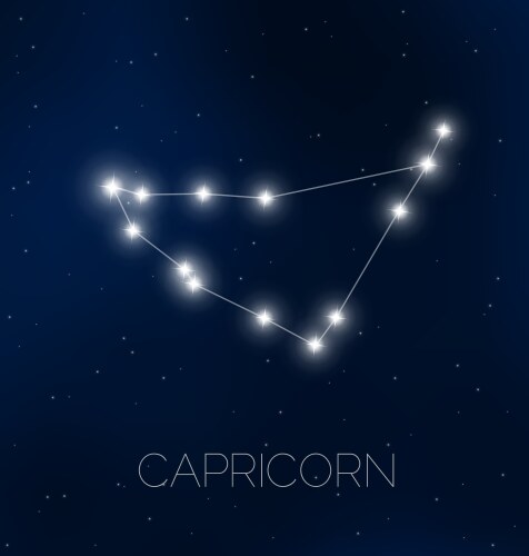 capricorn constellation vector image