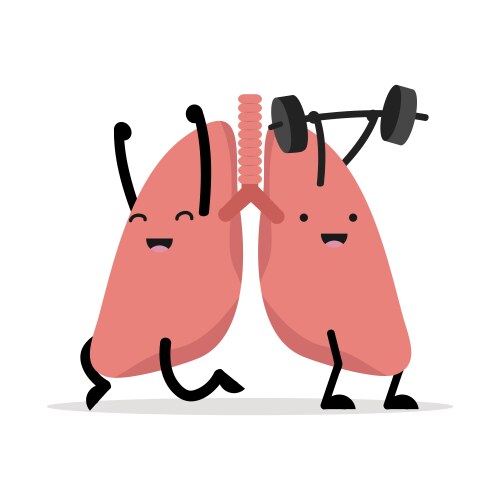 healthy happy lungs cartoon vector