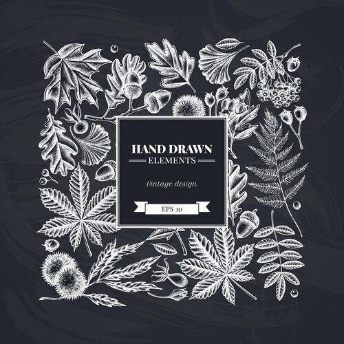 Chalk Fern Botanical Square Vector Image