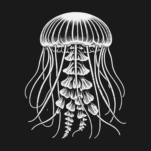 Detailed White Line Art Jellyfish Vector Image