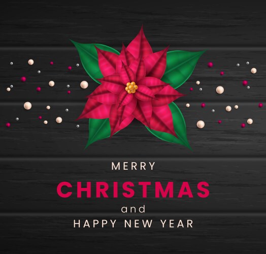 Christmas and new year greeting card winter plant Vector Image