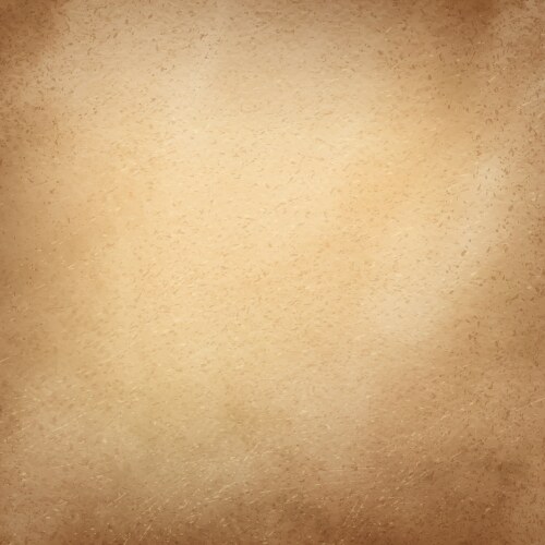 Vintage Aged Paper Texture Vector Image