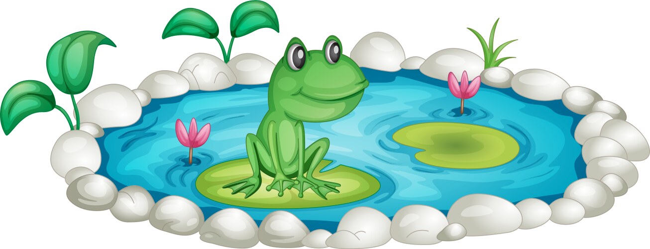 Isolated frog in the pond Royalty Free Vector Image
