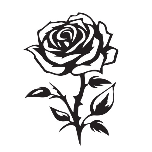 Rose eps Royalty Free Vector Image - VectorStock