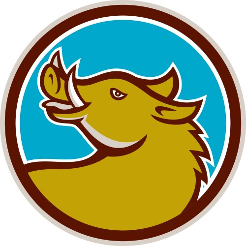 Razorback mascot Royalty Free Vector Image - VectorStock