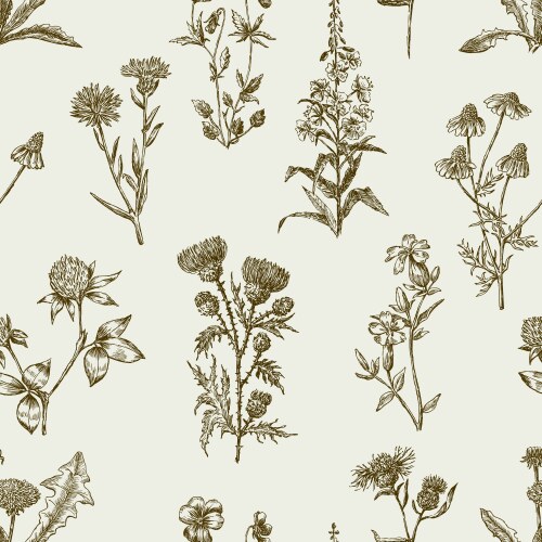 Wildflower Sketches Vector Image