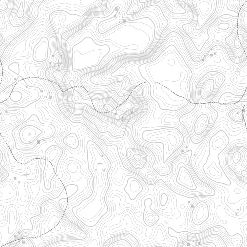 Topographic map patterns topography line Vector Image