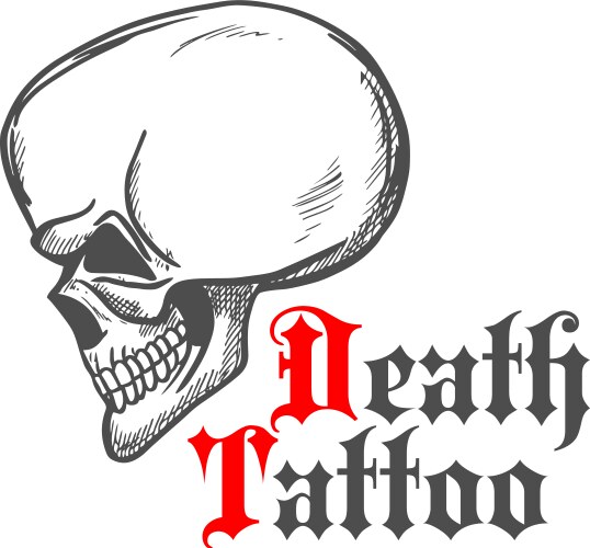 Human skull vintage engraving sketch Vector Image