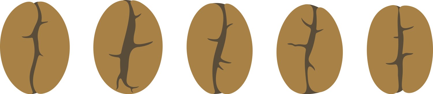 Coffee bean Royalty Free Vector Image - VectorStock