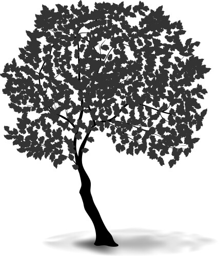 Old oak tree hand drawn engraved style Royalty Free Vector