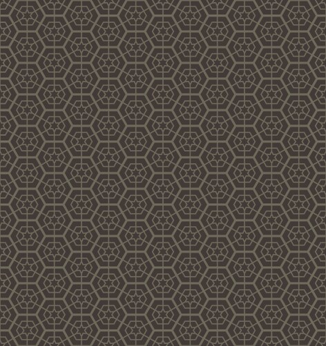 Abstract geometric line hexagon seamless pattern Vector Image