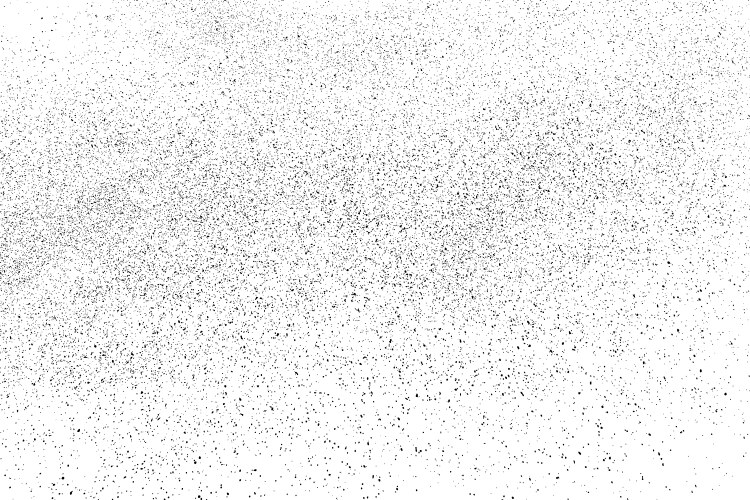 Black texture on white vector image