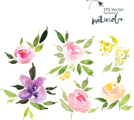 Watercolor Floral Bouquet Vector Image