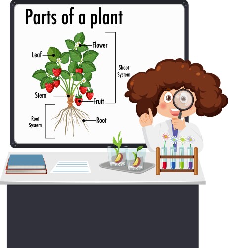 Kid explaining parts of a plant Royalty Free Vector Image