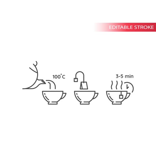 Tea preparation instruction line icon vector image