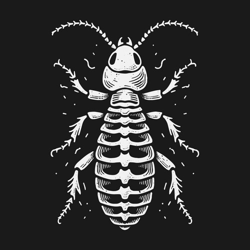 Vintage Woodcut Termite Vector Image